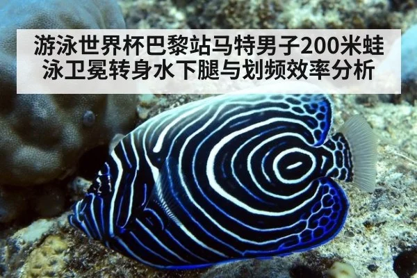 游泳世界杯巴黎站马特男子200米蛙泳卫冕转身水下腿与划频效率分析